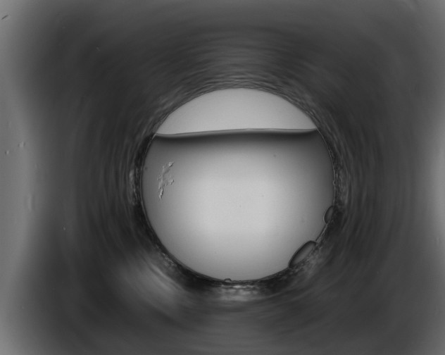 X0000086720378200704130732