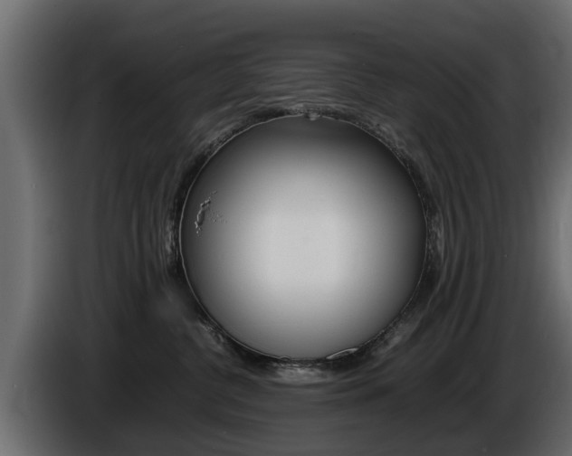 X0000086720380200704130732