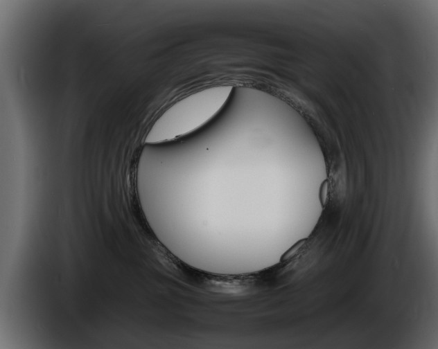 X0000086720381200704130732