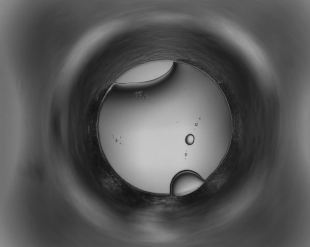 X0000086720382200704130732