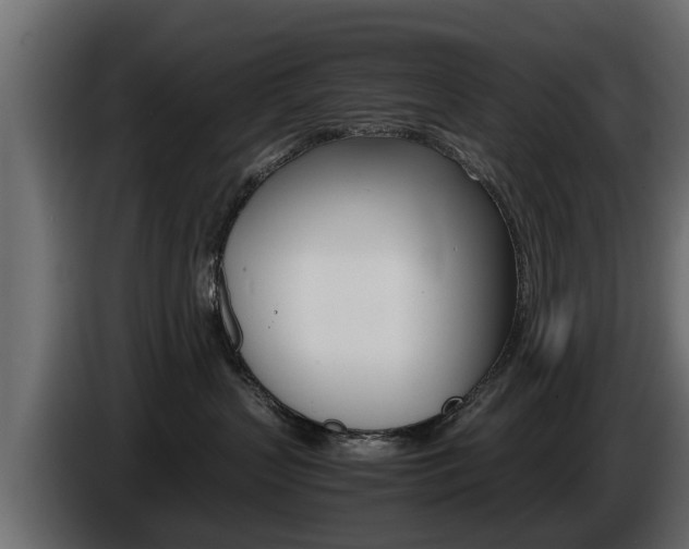 X0000086720383200704130732