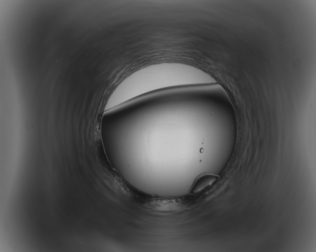 X0000086720384200704130732