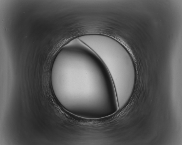 X0000086720385200704130732