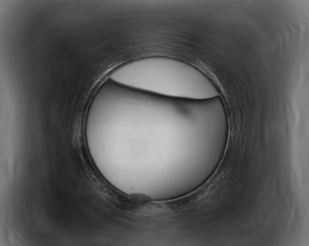 X0000086720386200704130732