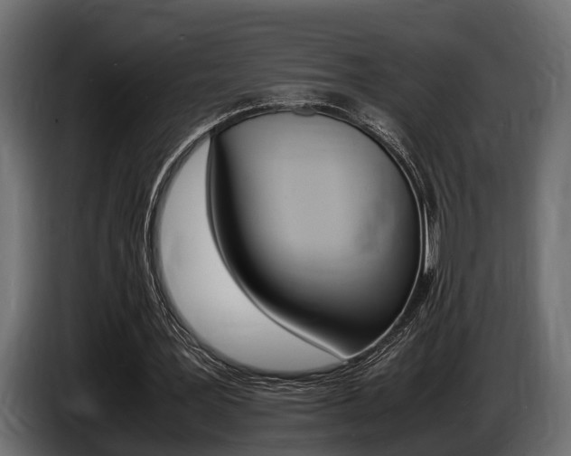 X0000086720387200704130732