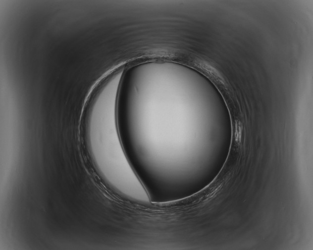 X0000086720388200704130732