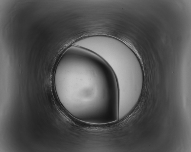 X0000086720389200704130732
