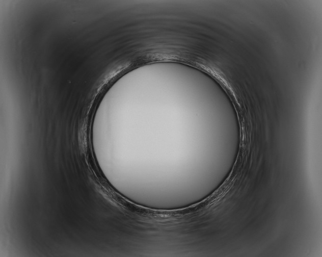 X0000086720390200704130732