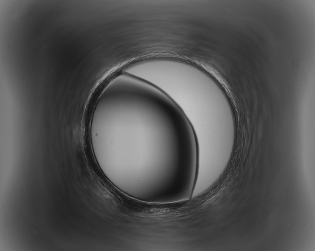 X0000086720391200704130732
