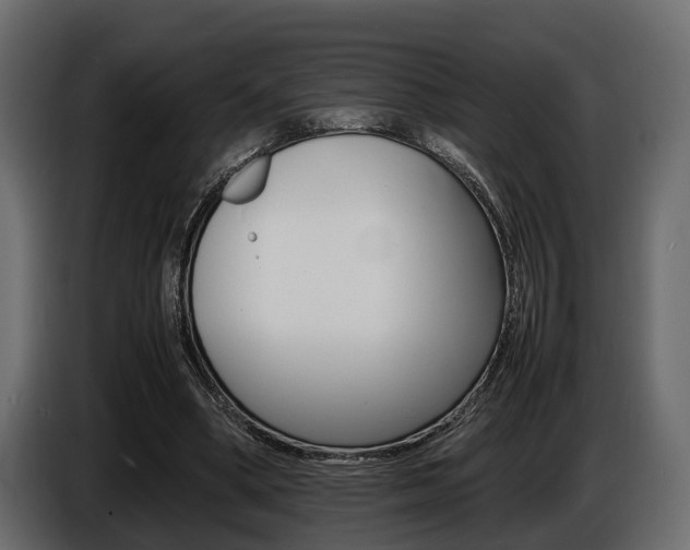 X0000086720394200704130732