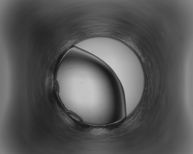 X0000086720397200704130732