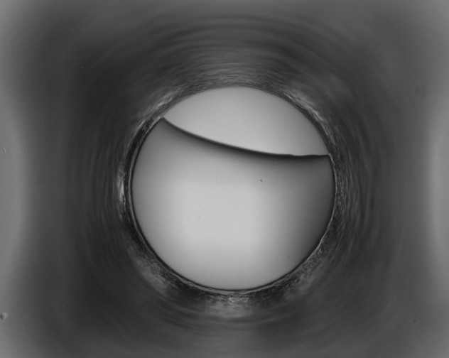 X0000086720398200704130732