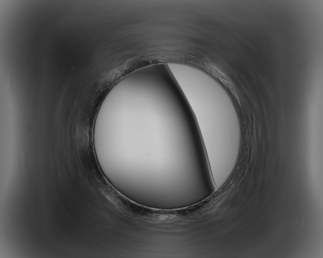 X0000086720401200704130732