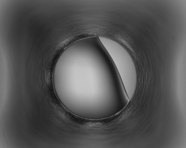 X0000086720403200704130732