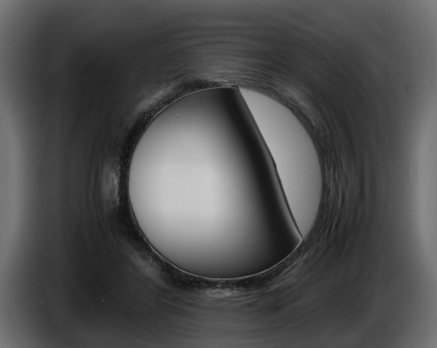 X0000086720404200704130732