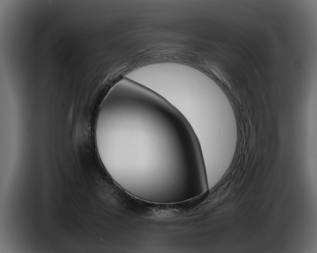 X0000086720407200704130732