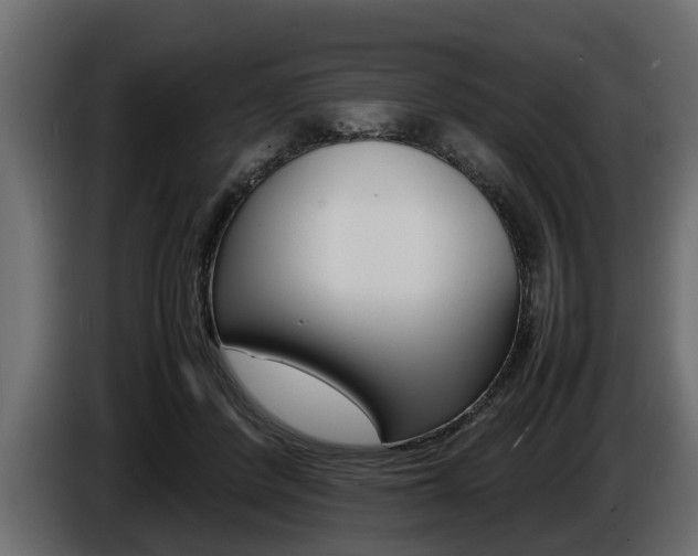 X0000086720408200704130732