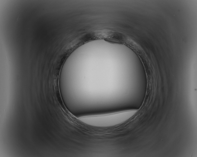 X0000086720409200704130732