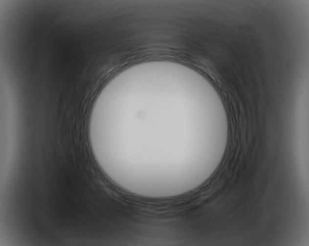 X0000086720411200704130732