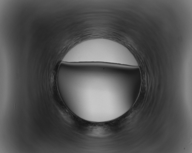 X0000086720412200704130731