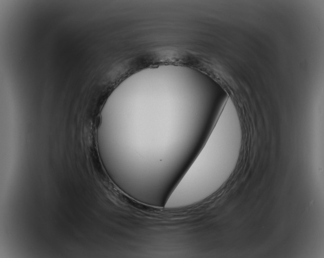 X0000086720413200704130731