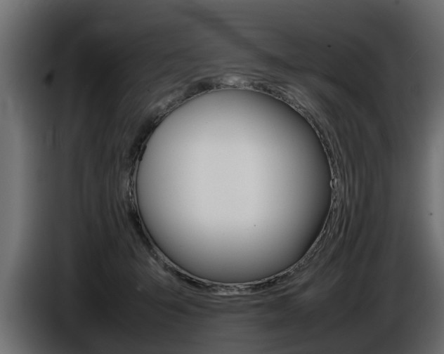 X0000086720415200704130731