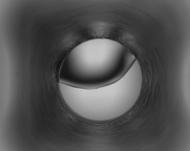 X0000086720416200704130731