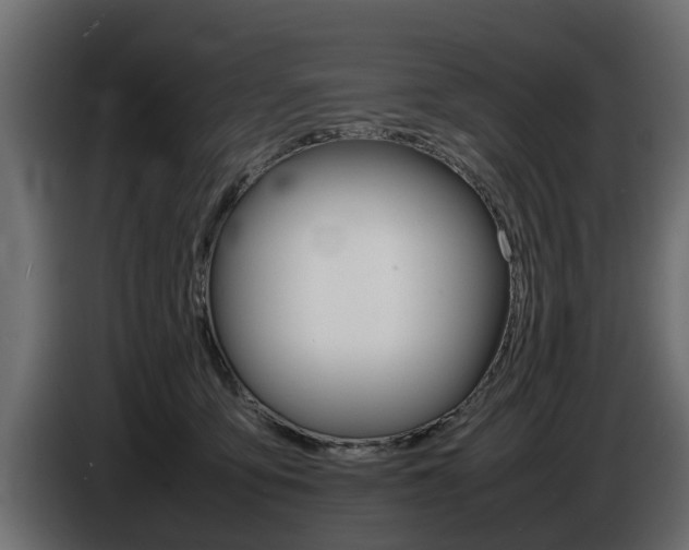 X0000086720419200704130731
