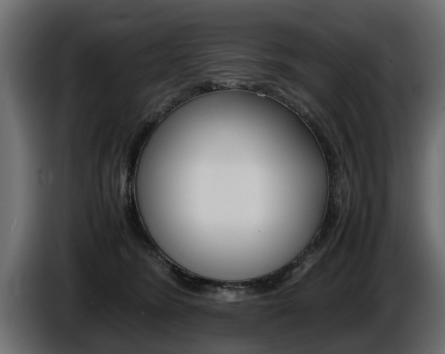 X0000086720420200704130731