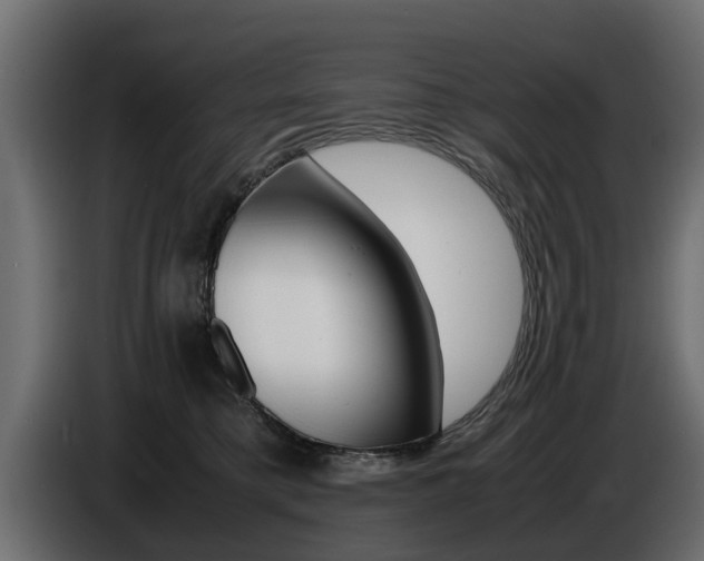 X0000086720421200704130731