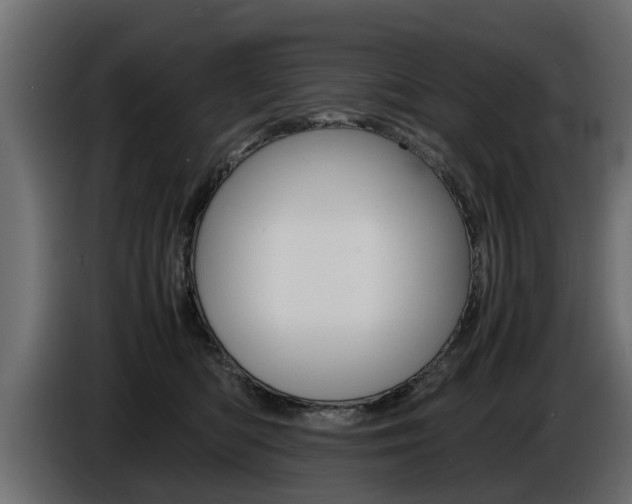 X0000086720422200704130731