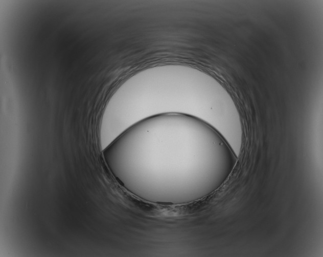 X0000086720423200704130731