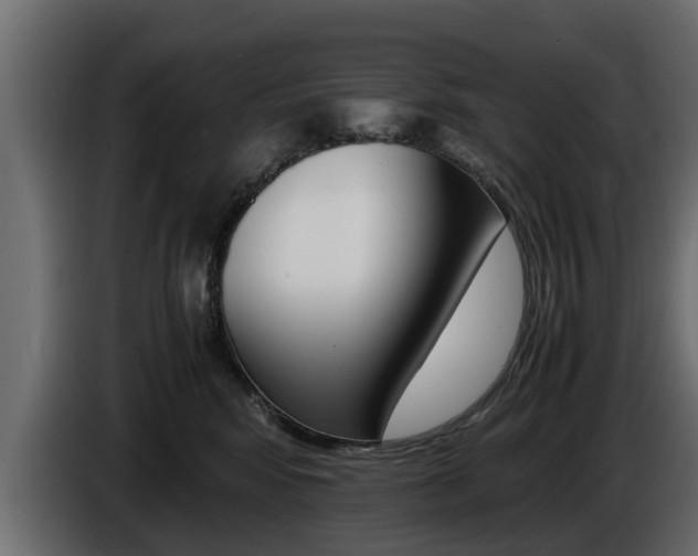 X0000086720424200704130731