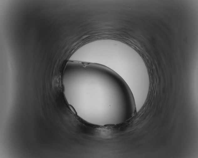 X0000086720425200704130731