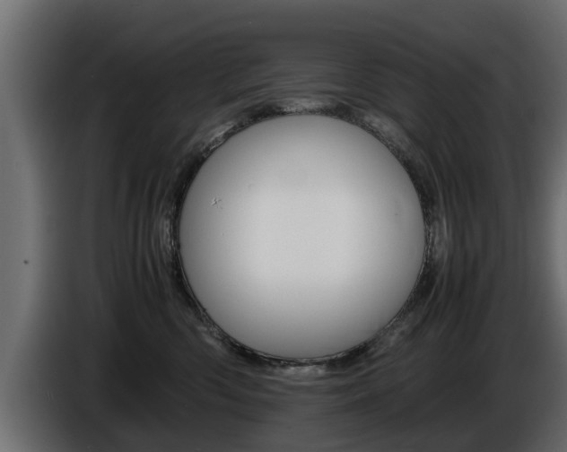 X0000086720426200704130731