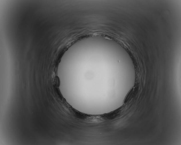 X0000086720427200704130731