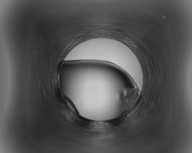 X0000086720429200704130731