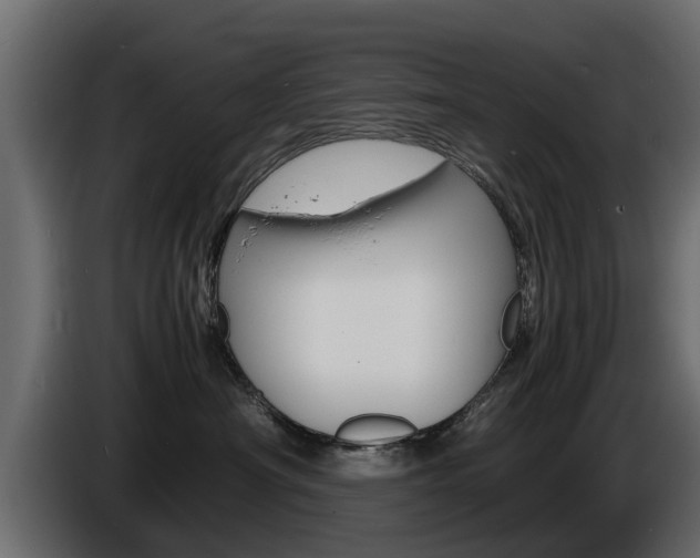 X0000086720430200704130731