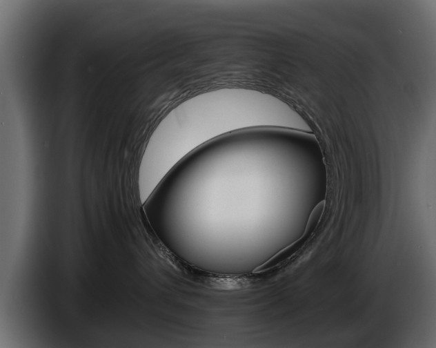 X0000086720432200704130731
