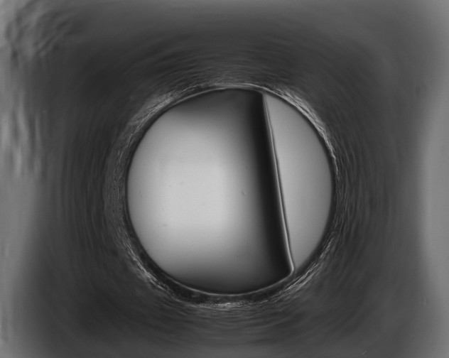 X0000086720433200704130731