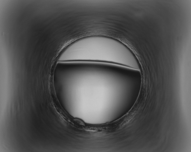 X0000086720434200704130731