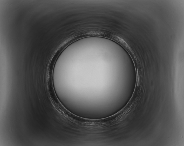 X0000086720435200704130731