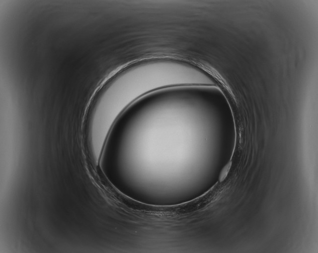 X0000086720436200704130731