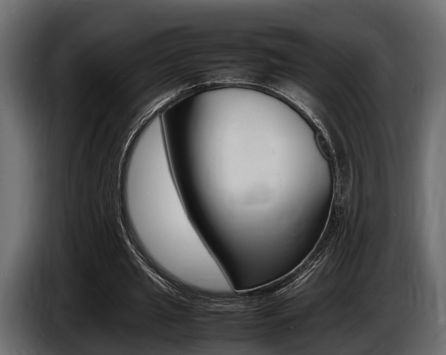 X0000086720437200704130731