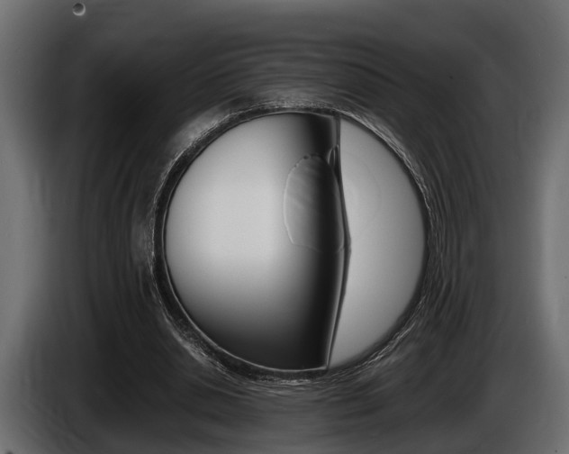 X0000086720438200704130731