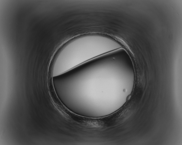 X0000086720439200704130731