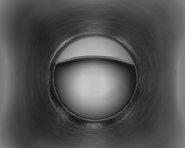X0000086720440200704130731