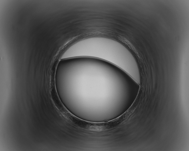 X0000086720444200704130731