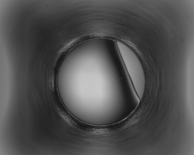 X0000086720446200704130731