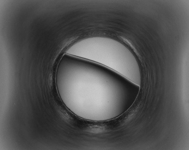 X0000086720447200704130731